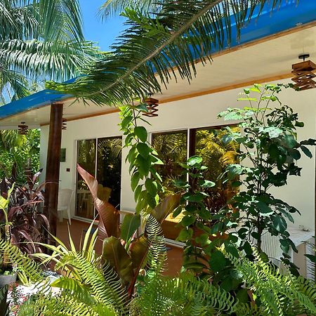 Blue Water Thoddoo Inn Dış mekan fotoğraf