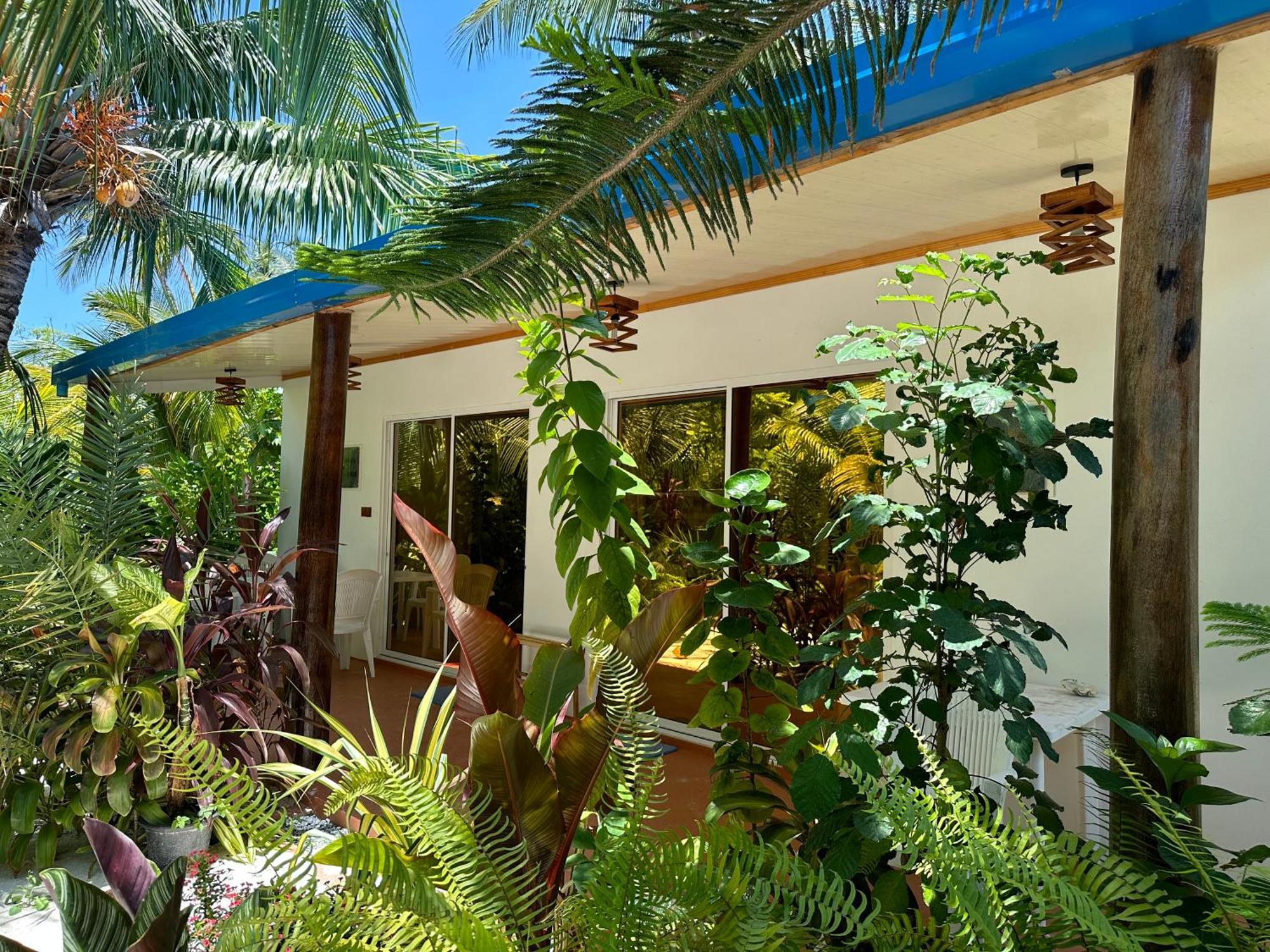 Blue Water Thoddoo Inn Dış mekan fotoğraf