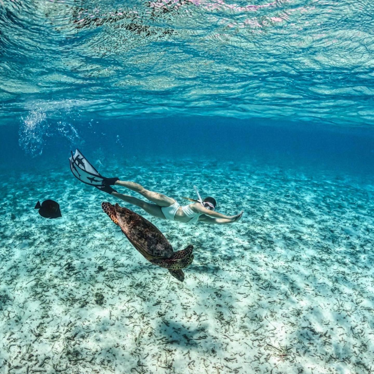 Blue Water Thoddoo Inn Dış mekan fotoğraf