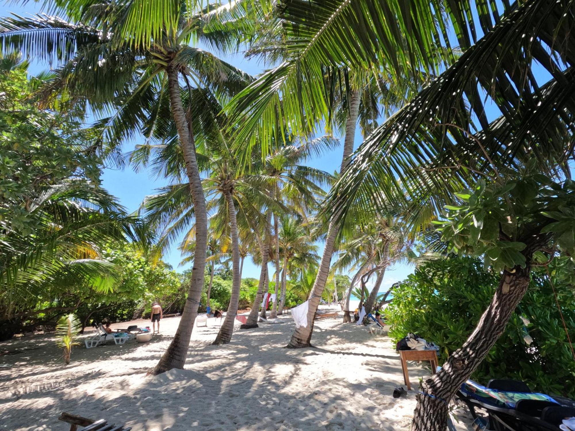 Blue Water Thoddoo Inn Oda fotoğraf